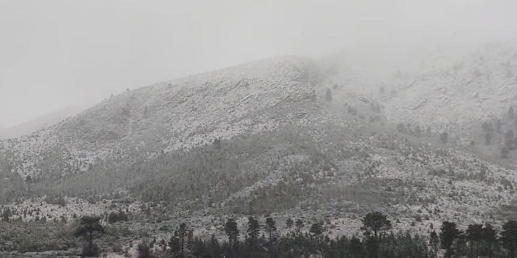 Nieve en el abra de la Ventana y en el Parque Provincial Ernesto Tornquist