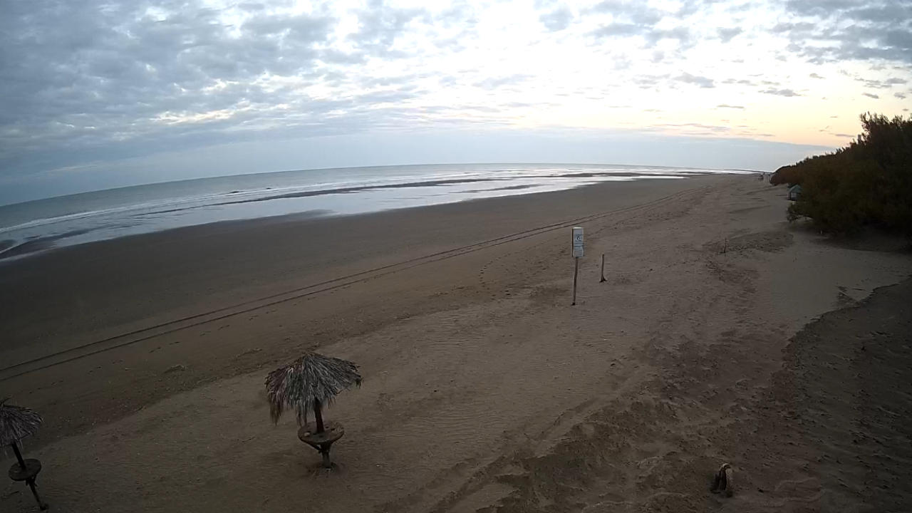 La playa en vivo