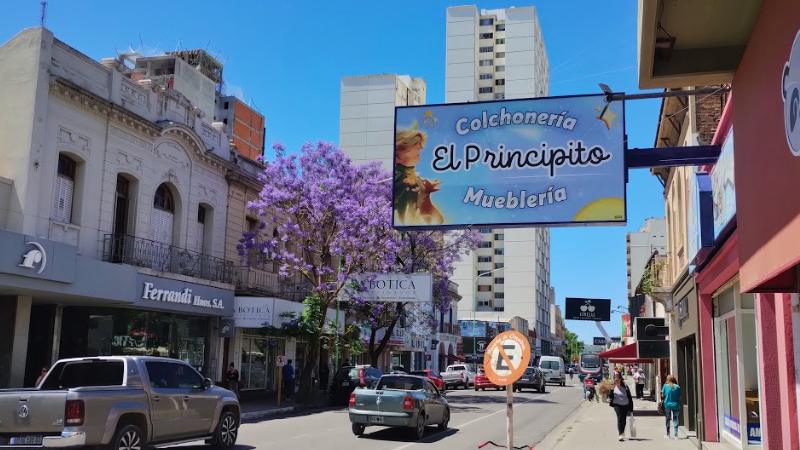 Calle Estomba, Jacarandás