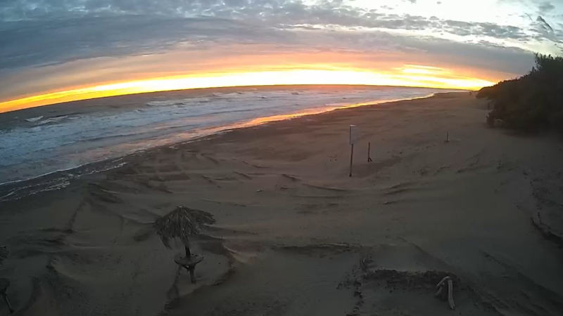 Playa en vivo de Monte Hermoso