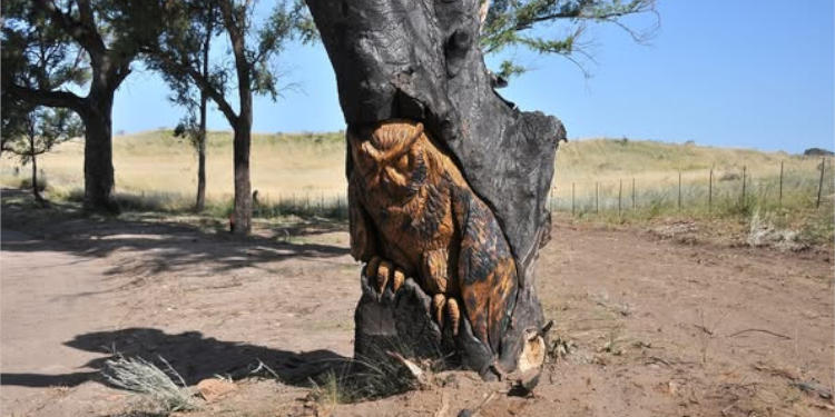 Escultura en eucalipto en el sinuoso este de Monte Hermoso