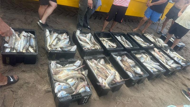 Pesca embarcada en Monte Hermoso